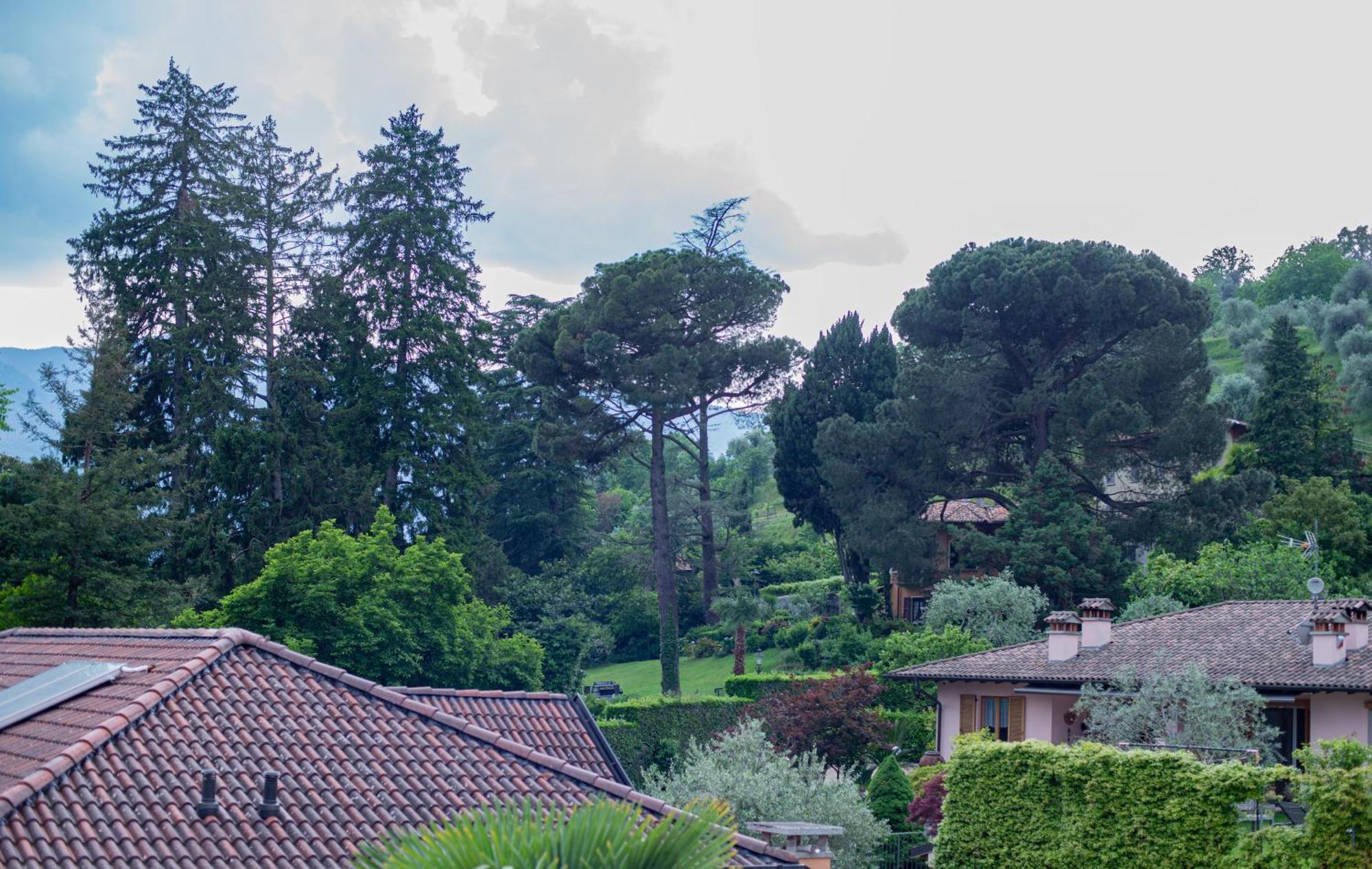 Serene Garden Getaway Cadenabbia Buitenkant foto